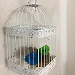 24h 招待所