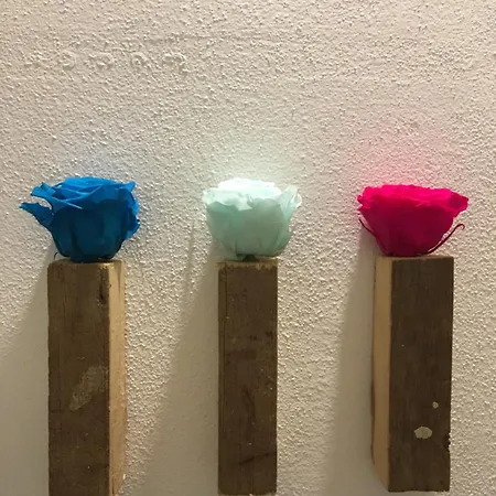 招待所 24h