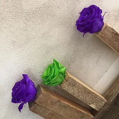 24h Maison d'hôtes 3*