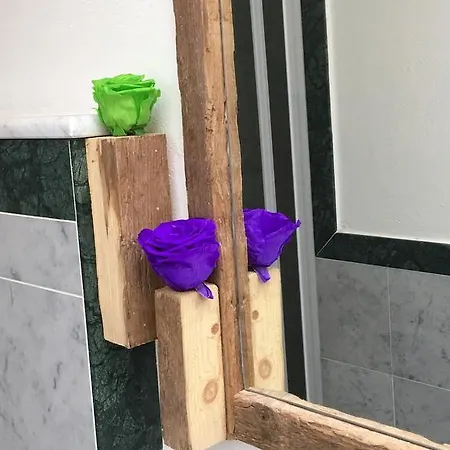 24h Maison d'hôtes Lucques