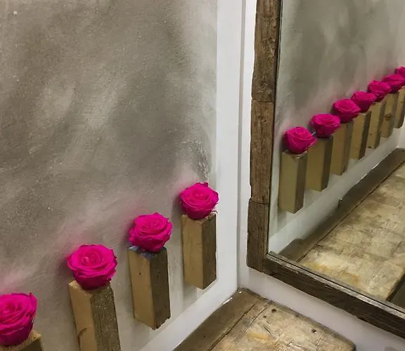 ゲストハウス 24h 3*