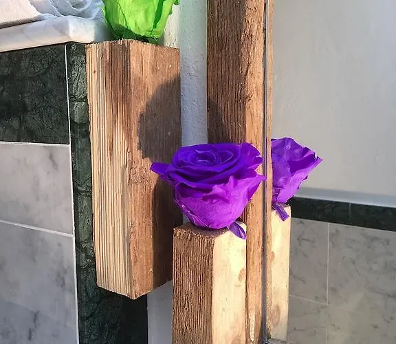 24h ゲストハウス 3*