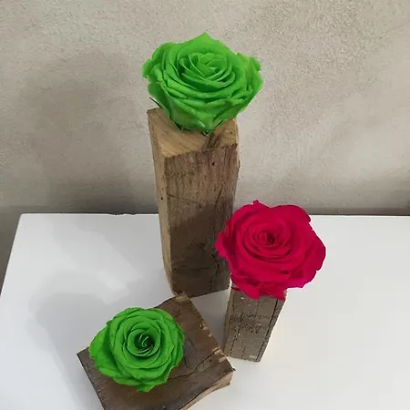 24h Affittacamere 3*