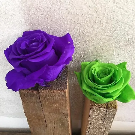 24h Affittacamere Lucca