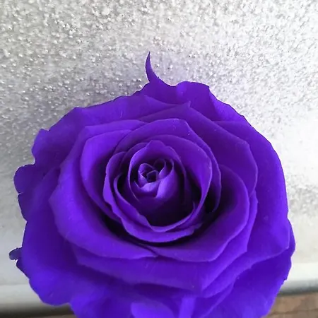 Affittacamere 24h 3*