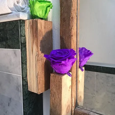 24h Affittacamere 3*